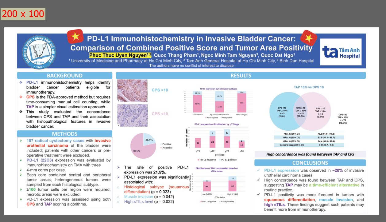 in banner cần lưu ý gì