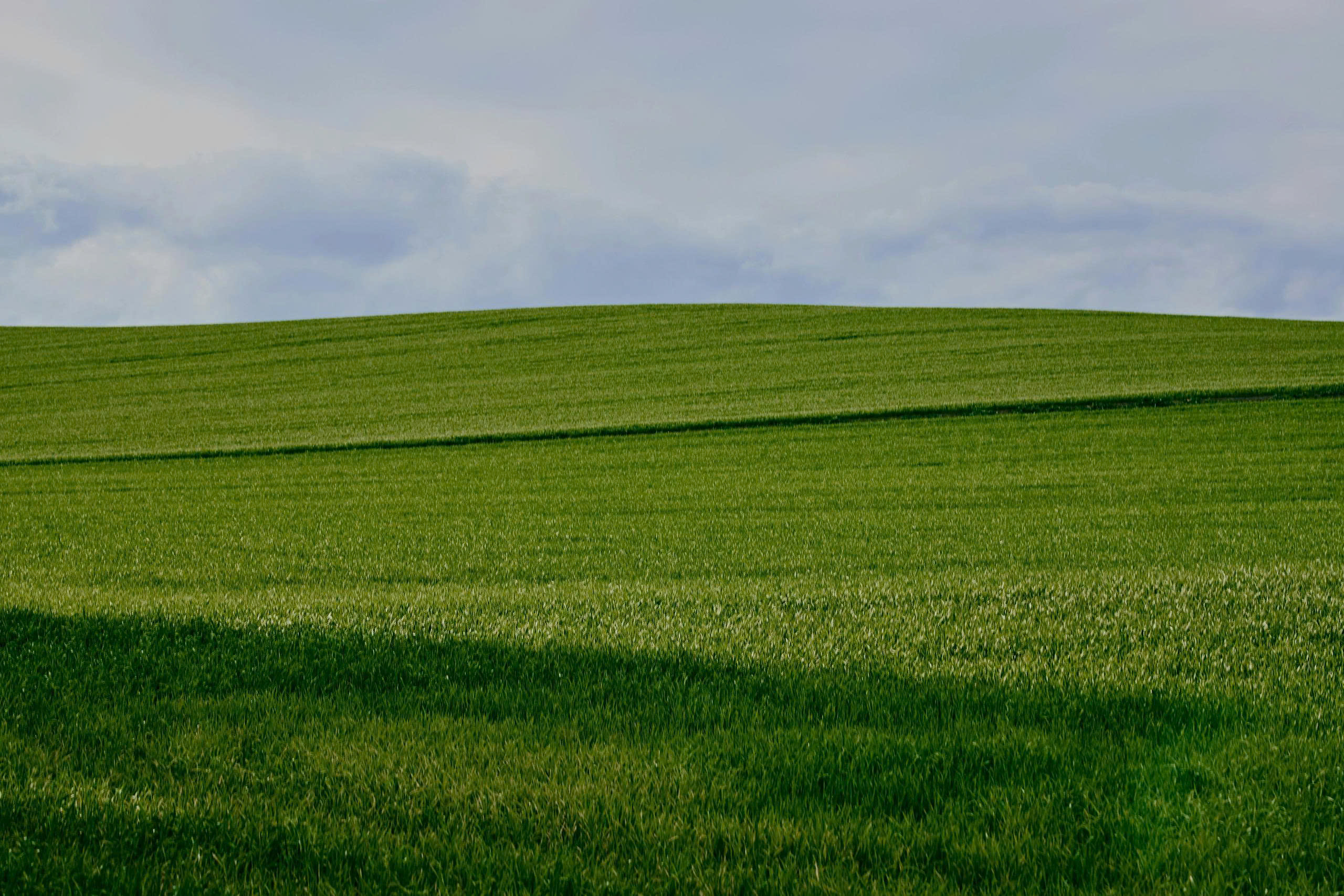 in banner cần lưu ý gì